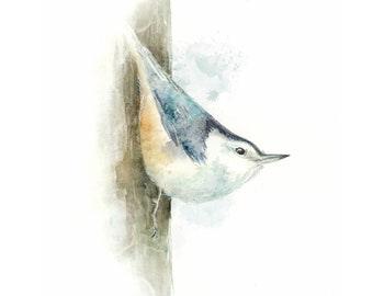 White-Breasted Nuthatch | woodland art print from original watercolor bird painting | wall art