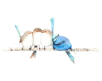 Australian Blue Fairy Wrens on a branch watercolor painting PRINT