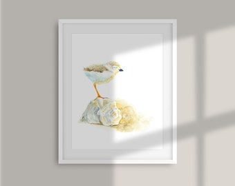 Cute baby bird on a shell watercolor painting beach art print