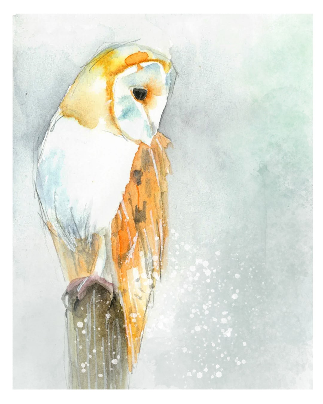 Barn Owl Watercolor Painting Art Print - Etsy