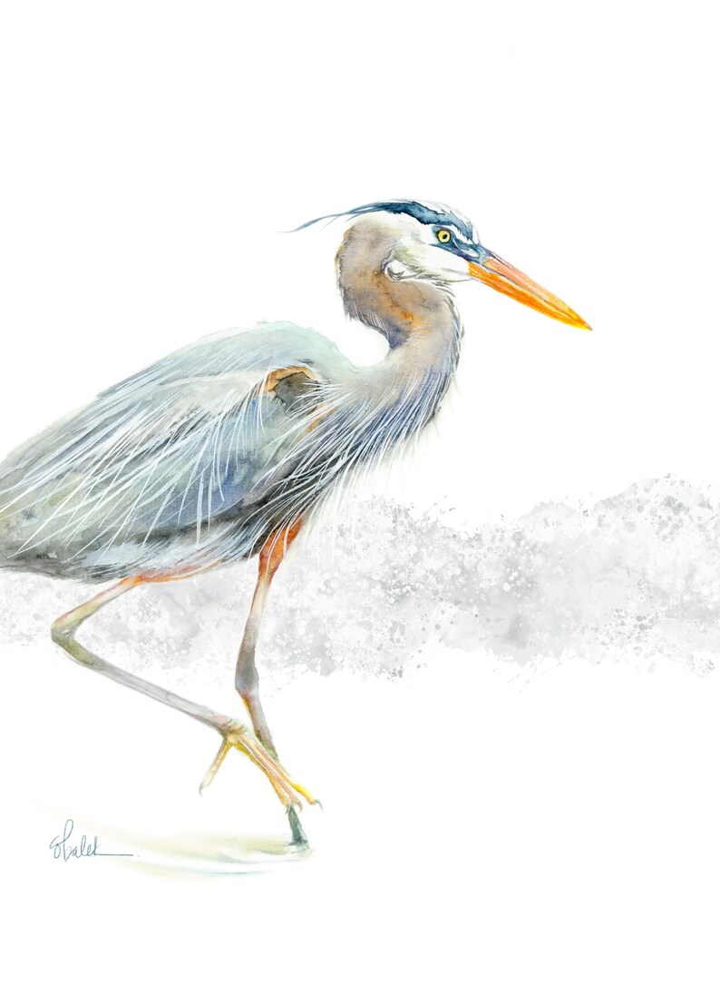 Great Blue Heron print from original watercolor painting Etsy