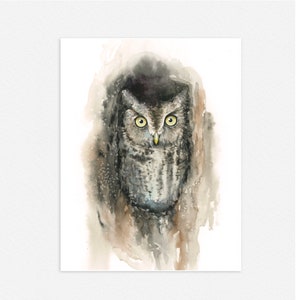 Eastern Screech Owl Watercolor Painting art print image 2