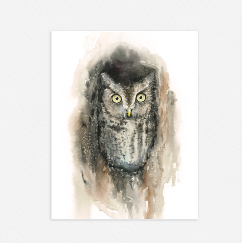 Eastern Screech Owl Watercolor Painting art print image 2