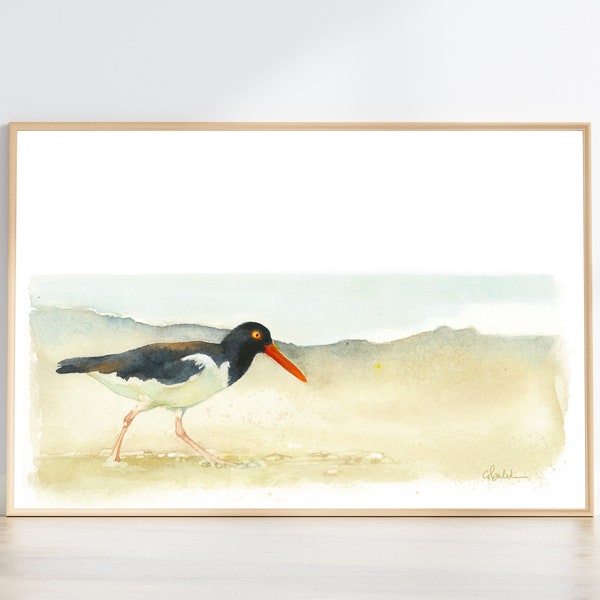 Oystercatcher watercolor painting | shorebird wall art | coastal beach theme home decor