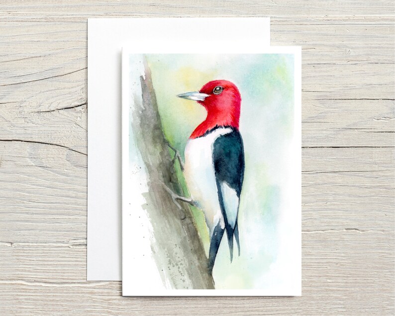 Woodpeckers in Watercolour greeting card set of 10 image 4