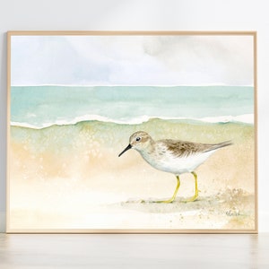 Sandpiper watercolour painting | coastal wall art | shorebird print