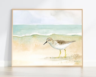 Sandpiper watercolour painting | coastal wall art | shorebird print