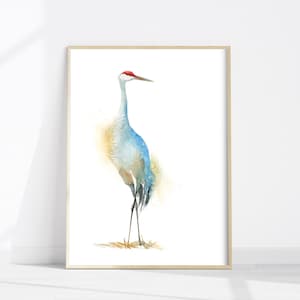 Sandhill Crane  Watercolour painting wall art print