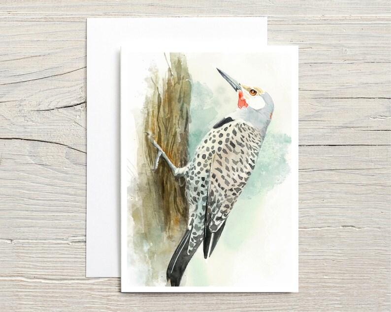 Woodpeckers in Watercolour greeting card set of 10 image 6