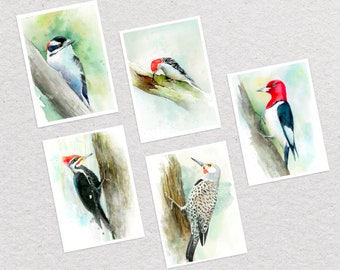 Woodpeckers in Watercolour greeting card set of 10