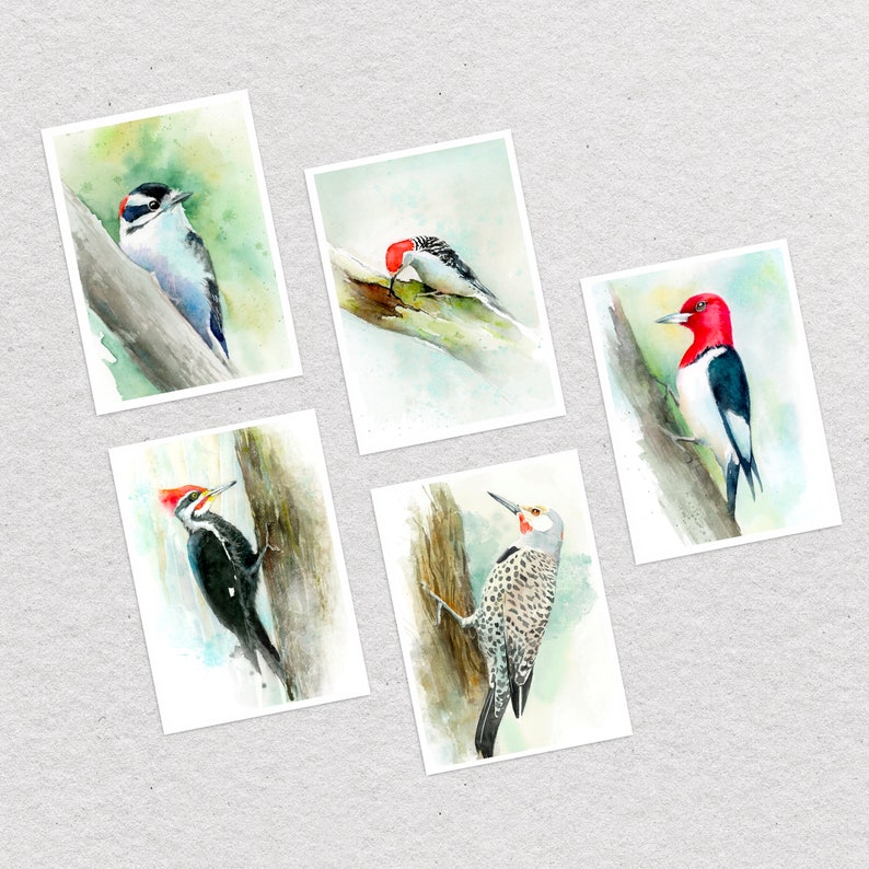 Woodpeckers in Watercolour greeting card set of 10 image 1