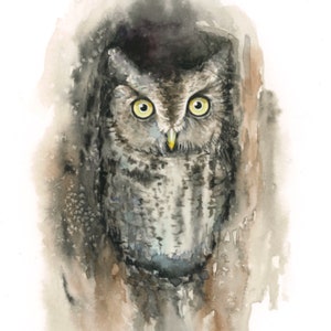 Eastern Screech Owl Watercolor Painting art print image 1