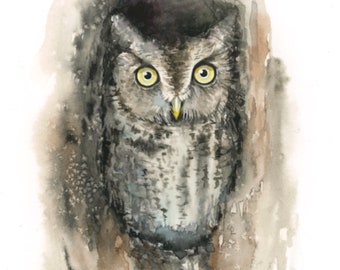 Eastern Screech Owl Watercolor Painting art print