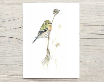 Winter Goldfinch on dried sunflower watercolour painting Bird print