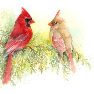 Northern Cardinals print from original watercolor painting