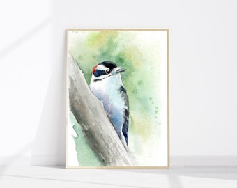 Downy Woodpecker | Woodland bird print from original watercolour painting