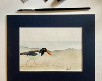 ORIGINAL American Oystercatcher watercolour painting