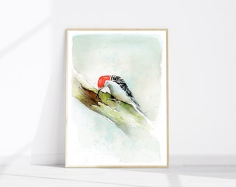 Red-bellied Woodpecker | Woodland bird print from original watercolour painting