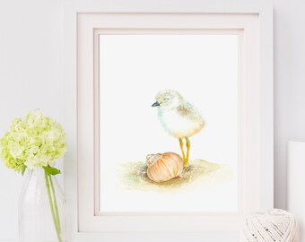 Little Piping Plover chick with shell | watercolor painting | coastal wall art