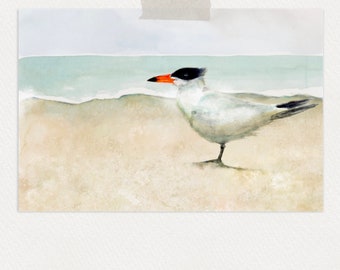 Caspian Tern on the beach | Gull painting | watercolour | coastal wall art | shorebird print |
