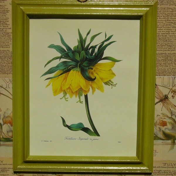 REDOUTE Botanical Yellow Fritillaria 11x14 Hand-Painted Chartreuse Framed Print