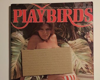 Playbirds RARE Vintage Retro ADULTO Glamour Magazine - Mary Millington In Stoke On Trent - Volume Numero 22