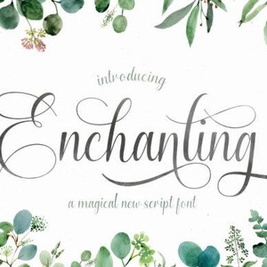 Enchanting Script Font (Script Font) Downloadable Font Best Fonts
