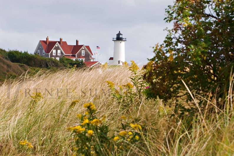 New England Seriesnobska Point Lighthouse Wood's Hole Etsy