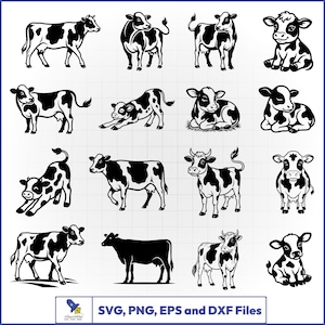 Op de afbeelding: Een verzameling van zestien zwart-witte koe-illustraties in verschillende houdingen, waaronder staand, zittend en uitrekkend. De grafische set bevat een logo en de tekst SVG, PNG, EPS and DXF Files onderaan de afbeelding.