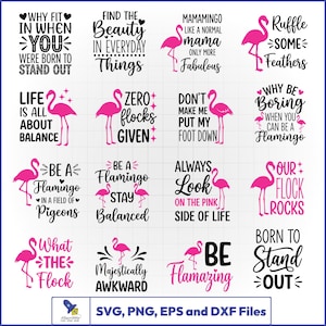 Pode incluir: Uma coleção de dezesseis designs gráficos digitais com ilustrações de flamingos cor-de-rosa e tipografia preta ou rosa com frases como Why Fit In, Find The Beauty, Mamamingo, Ruffle Some Feathers, Life Is All About Balance e Zero Flocks Given.