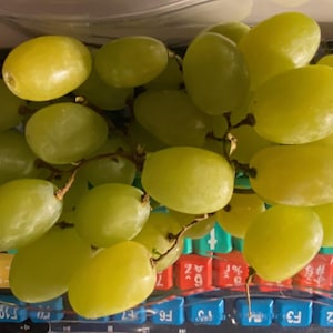 Może przedstawiać: Gronostan zielonych winogron, z których niektóre są częściowo zasłonięte przez łodygi, ułożony na kolorowej klawiaturze.
