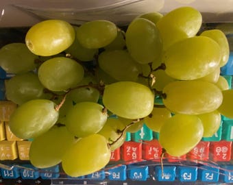 Barbe à papa - raisins extra rares - 5 graines / pour la saison 2025