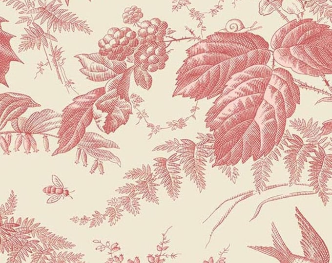 Braveheart Fabric Andover Half Yard Toile Ecru off White With Primrose