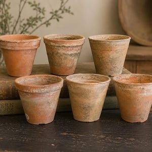 May include: A collection of six small terracotta flower pots arranged in two rows. Each pot features a weathered, earthy orange finish with visible signs of age, including textured surfaces, mineral deposits, and varied shades of brown and tan.