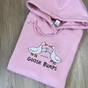 Goose Bumps Sweatshirt: University Silly Goose Embroidered Jumper