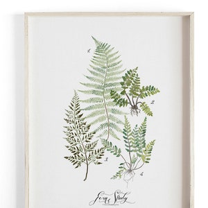 Fern Study Vol.1 - Botanical Scientific illustration. Beautifully textured cotton canvas art print.  Large scale art