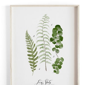 Fern Study Vol.3 - Watercolor llustration. Beautifully textured cotton canvas art print. Large scale art