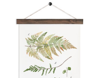 Fern Study - Haven Collection / Watercolor botanical wall hanging, wood trim art. Scientific Canvas Posters Chart Vol.2 More Options HF105