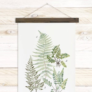 Fern Study Reverie Collection / Watercolor botanical wall hanging, wood trim art. Scientific Canvas Posters Chart Vol.1 More Options VPR08 image 5