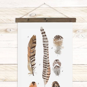 Feather Study large feathers wall hanging, wood trim art printed on textured cotton canvas. Scientific chart Vol.5 image 1