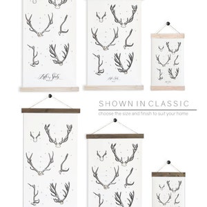 Antler Study large watercolor antler wall hanging, wood trim art printed on textured cotton canvas. Scientific Posters chart Vol.2 VP201 image 2