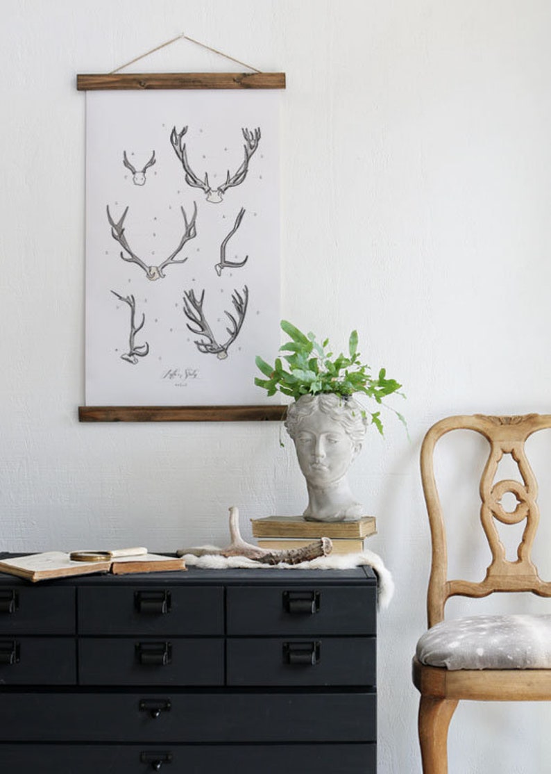 large watercolor antler wall hanging Antler Study wood trim art printed on textured cotton canvas Scientific Posters chart Vol.2 VP201