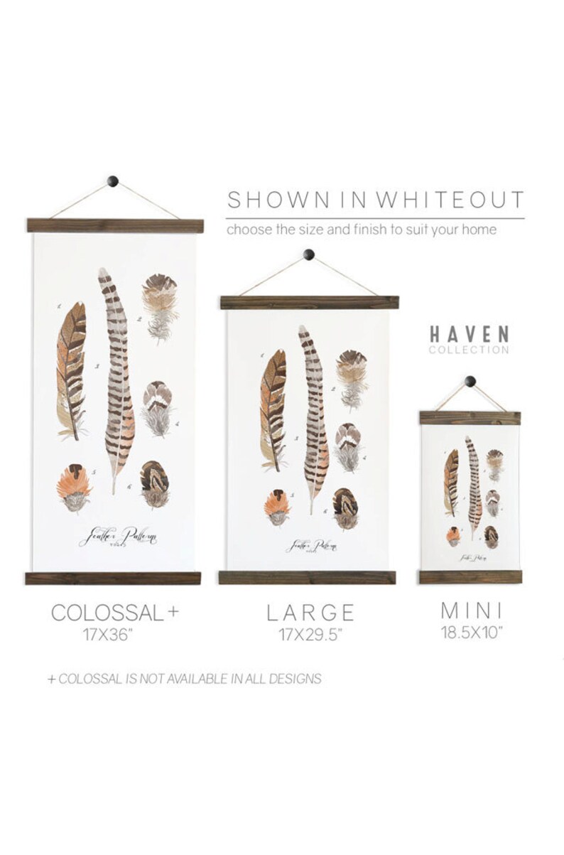 Feather Study large feathers wall hanging, wood trim art printed on textured cotton canvas. Scientific chart Vol.5 image 2