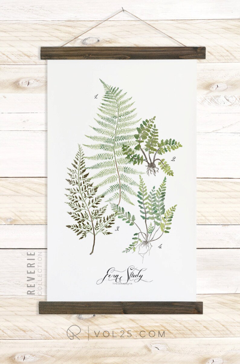 Fern Study Reverie Collection / Watercolor botanical wall hanging, wood trim art. Scientific Canvas Posters Chart Vol.1 More Options VPR08 image 5