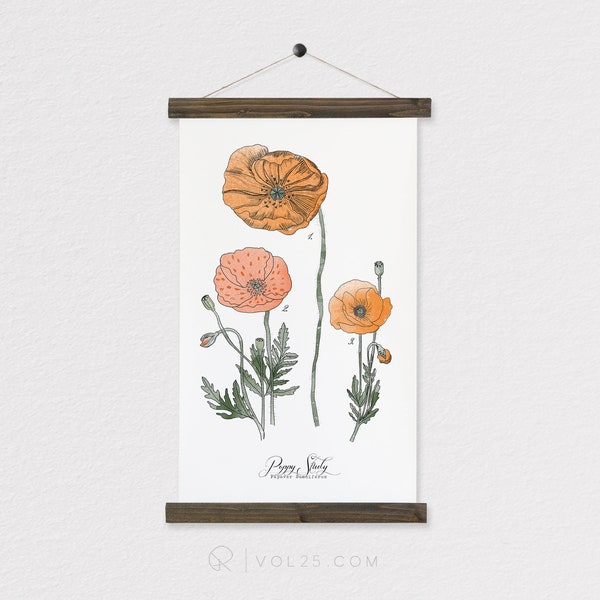 Poppy Study - botanical watercolor wall hanging, wood trim art printed on textured cotton canvas. Vintage Science Poster chart