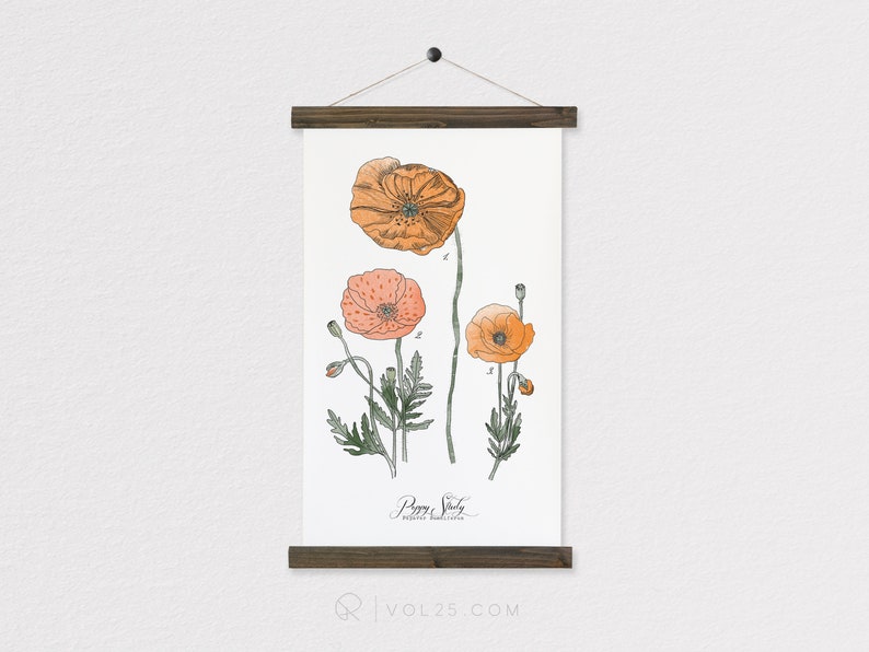 Poppy Study botanical watercolor wall hanging, wood trim art printed on textured cotton canvas. Vintage Science Poster chart image 1