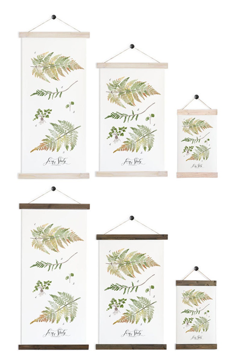 Fern Study Haven Collection / Watercolor botanical wall hanging, wood trim art. Scientific Canvas Posters Chart Vol.2 More Options HF105 image 6