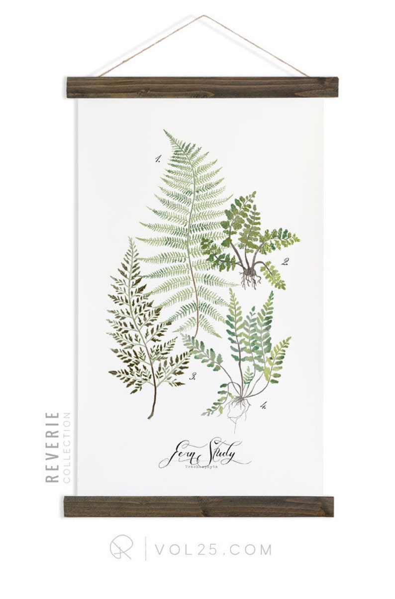 Fern Study Reverie Collection / Watercolor botanical wall hanging, wood trim art. Scientific Canvas Posters Chart Vol.1 More Options VPR08 image 1