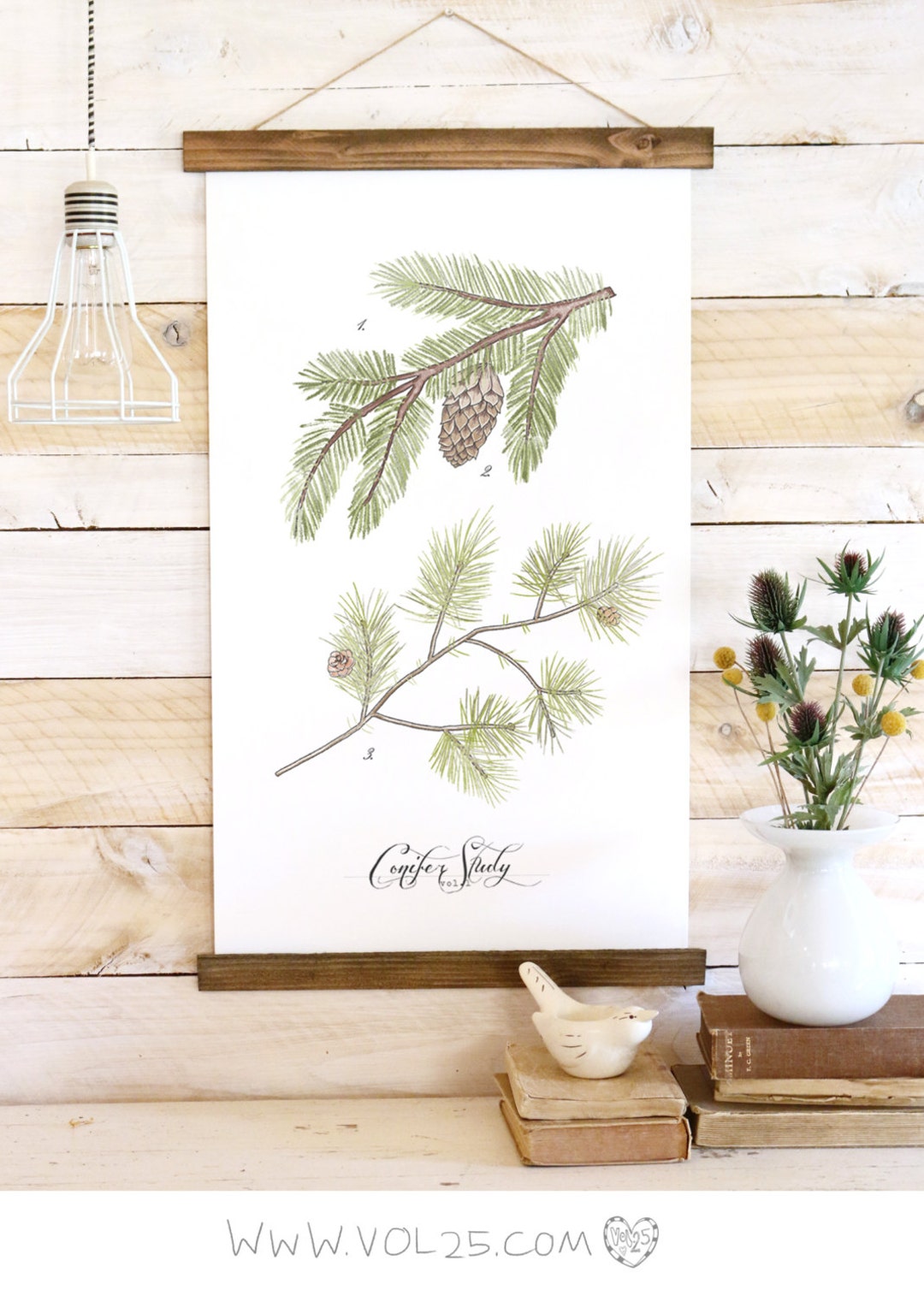 Conifer Study Pine Sprigs Canvas Wall Hanging Wood Trim - Etsy