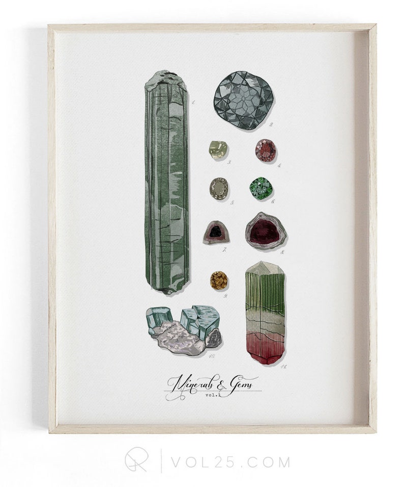 Minerals & Gems Scientific Illustration. Beautifully textured cotton canvas art print. Large scale art image 1